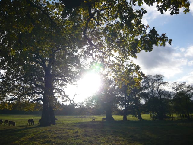 Wir konzentrieren uns